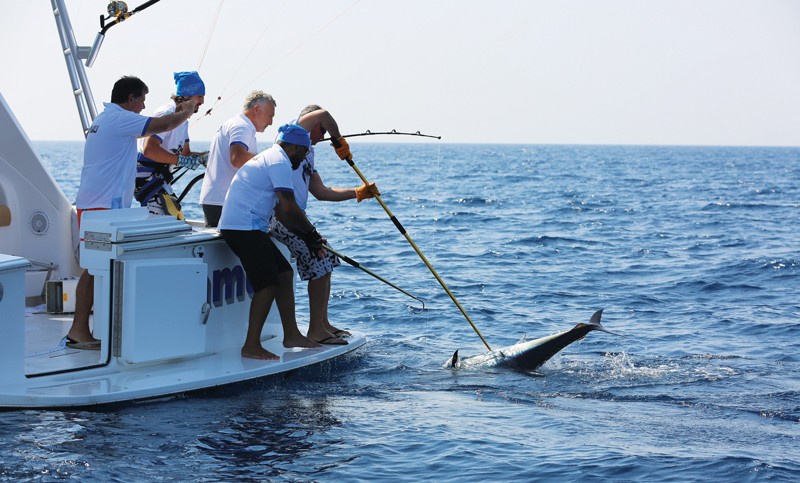 Alaçatı Big Fish; Bir turnuvadan çok daha fazlası