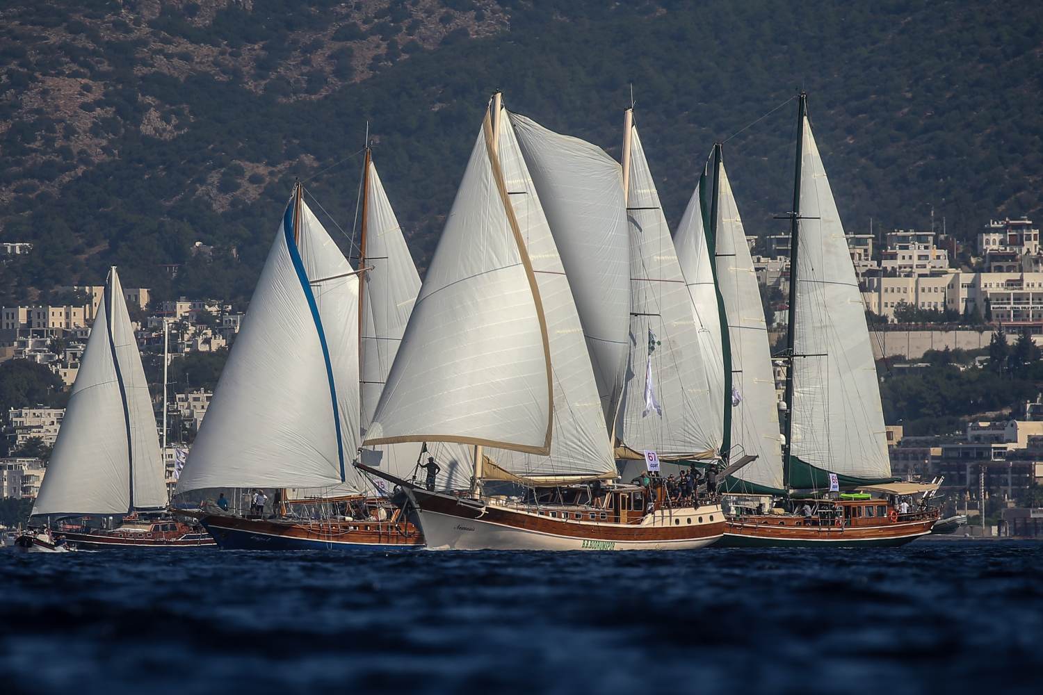 The Bodrum Cup