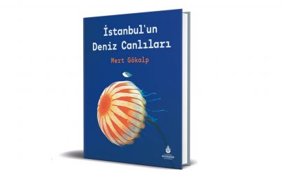 İstanbul’un Deniz Canlıları