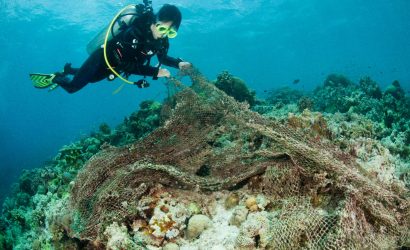 Deniz plastik çöpünün en ölümcülü: Hayalet Balıkçılık