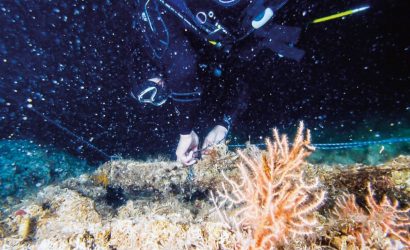 Mavi Atlas: Denize+1 Nefes