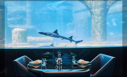 Nemo Tersane İstanbul’da Açılıyor: Akvaryum konseptli deniz altı atmosferi